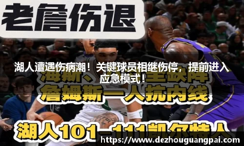 zoty中欧官方app下载