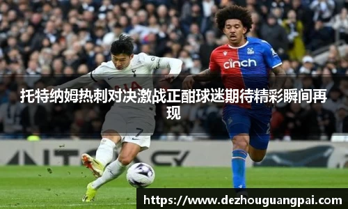 托特纳姆热刺对决激战正酣球迷期待精彩瞬间再现