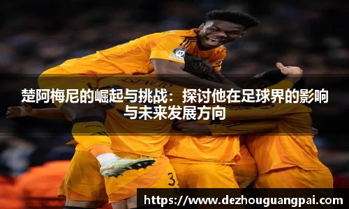 zoty中欧官方网站