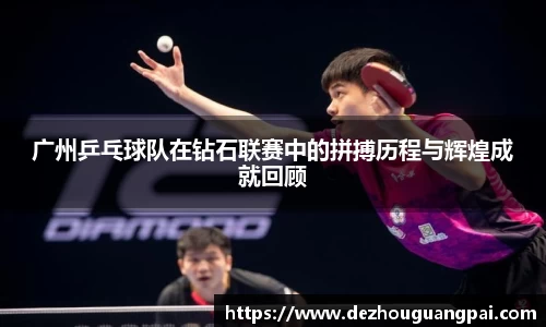 zoty中欧官方app下载